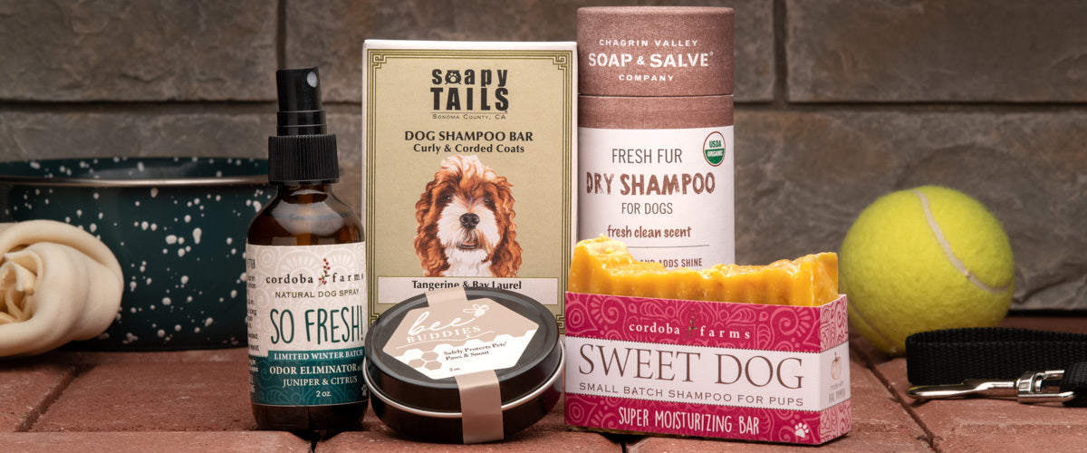pet wellness products