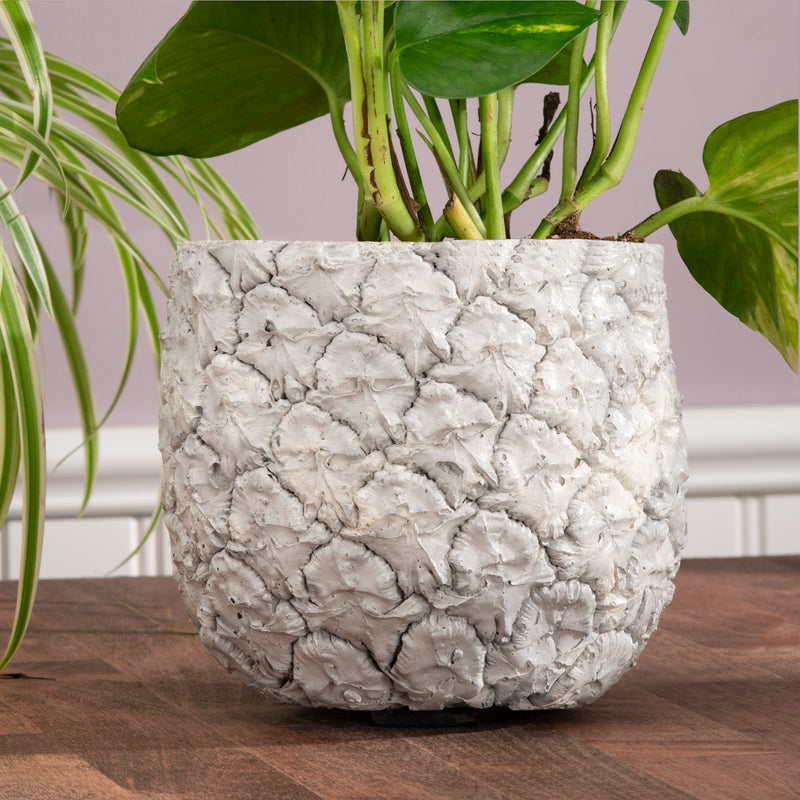 Grey Shed Pineapple Concrete Planter