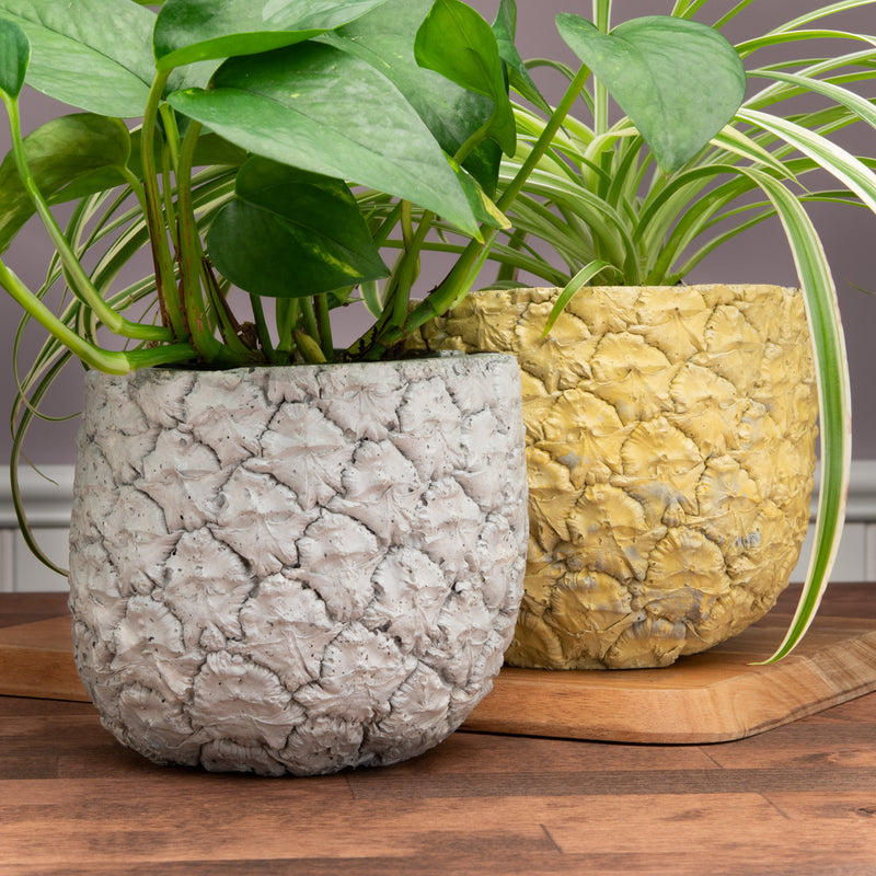 Grey Shed Pineapple Concrete Planter